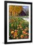 Autumn Flowers-George Oze-Framed Photographic Print