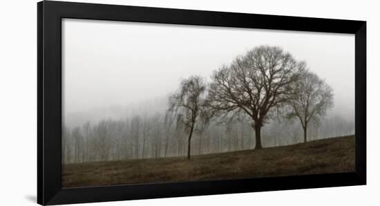 Autumn Fog-Ily Szilagyi-Framed Art Print