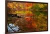 Autumn foliage along the Willimantic River, USA-Lynn M. Stone-Framed Photographic Print