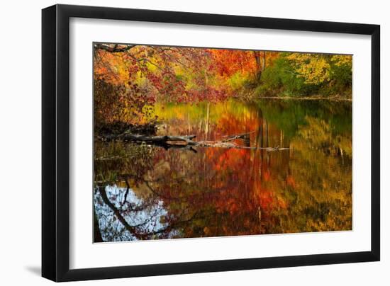 Autumn foliage along the Willimantic River, USA-Lynn M. Stone-Framed Photographic Print