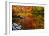 Autumn foliage along the Willimantic River, USA-Lynn M. Stone-Framed Photographic Print
