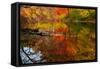 Autumn foliage along the Willimantic River, USA-Lynn M. Stone-Framed Stretched Canvas