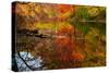 Autumn foliage along the Willimantic River, USA-Lynn M. Stone-Stretched Canvas