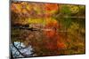 Autumn foliage along the Willimantic River, USA-Lynn M. Stone-Mounted Photographic Print