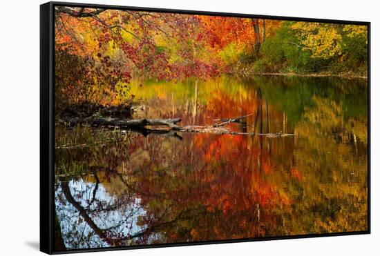 Autumn foliage along the Willimantic River, USA-Lynn M. Stone-Framed Stretched Canvas