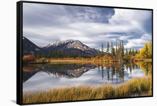 Autumn foliage and mountain lake, Jasper National Park, UNESCO World Heritage Site, Canadian Rockie-Jon Reaves-Framed Stretched Canvas