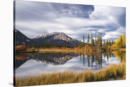 Autumn foliage and mountain lake, Jasper National Park, UNESCO World Heritage Site, Canadian Rockie-Jon Reaves-Stretched Canvas