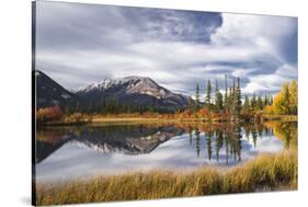 Autumn foliage and mountain lake, Jasper National Park, UNESCO World Heritage Site, Canadian Rockie-Jon Reaves-Stretched Canvas