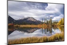 Autumn foliage and mountain lake, Jasper National Park, UNESCO World Heritage Site, Canadian Rockie-Jon Reaves-Mounted Photographic Print