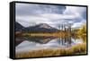 Autumn foliage and mountain lake, Jasper National Park, UNESCO World Heritage Site, Canadian Rockie-Jon Reaves-Framed Stretched Canvas