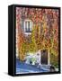 Autumn Foliage around Tuscan Villa-Terry Eggers-Framed Stretched Canvas