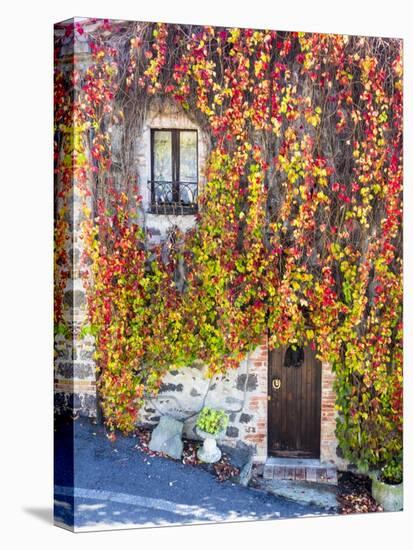 Autumn Foliage around Tuscan Villa-Terry Eggers-Stretched Canvas