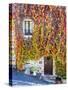 Autumn Foliage around Tuscan Villa-Terry Eggers-Stretched Canvas