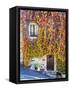 Autumn Foliage around Tuscan Villa-Terry Eggers-Framed Stretched Canvas