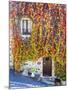 Autumn Foliage around Tuscan Villa-Terry Eggers-Mounted Photographic Print