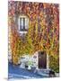 Autumn Foliage around Tuscan Villa-Terry Eggers-Mounted Photographic Print