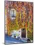 Autumn Foliage around Tuscan Villa-Terry Eggers-Mounted Photographic Print
