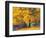 Autumn Foliage at Hoyt Arboretum-Darrell Gulin-Framed Photographic Print