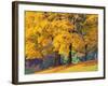 Autumn Foliage at Hoyt Arboretum-Darrell Gulin-Framed Photographic Print