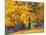 Autumn Foliage at Hoyt Arboretum-Darrell Gulin-Mounted Photographic Print