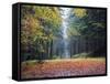 Autumn Foliage, Brecon Beacons National Park, South Wales, United Kingdom, Europe-Christian Kober-Framed Stretched Canvas