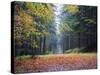 Autumn Foliage, Brecon Beacons National Park, South Wales, United Kingdom, Europe-Christian Kober-Stretched Canvas