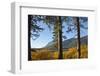 Autumn foliage, Fish Lake, Wenatchee National Forest, Washington State, USA-Michel Hersen-Framed Photographic Print