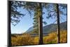 Autumn foliage, Fish Lake, Wenatchee National Forest, Washington State, USA-Michel Hersen-Mounted Photographic Print