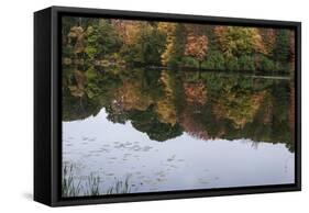 Autumn Foliage In Forest By Lake-Anthony Paladino-Framed Stretched Canvas