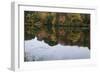 Autumn Foliage In Forest By Lake-Anthony Paladino-Framed Giclee Print