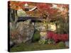 Autumn Foliage in Japanese Garden-null-Stretched Canvas