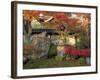 Autumn Foliage in Japanese Garden-null-Framed Photographic Print