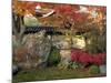 Autumn Foliage in Japanese Garden-null-Mounted Photographic Print