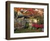 Autumn Foliage in Japanese Garden-null-Framed Photographic Print