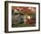 Autumn Foliage in Japanese Garden-null-Framed Photographic Print