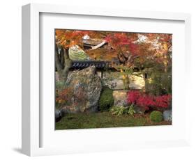 Autumn Foliage in Japanese Garden-null-Framed Photographic Print