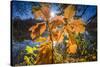 Autumn Foliage in the Back Light in the Lake-Falk Hermann-Stretched Canvas