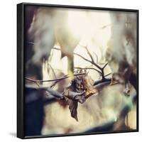 Autumn foliage in the sunlight in the Teutoburg Forest in Bielefeld.-Nadja Jacke-Framed Photographic Print