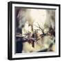 Autumn foliage in the sunlight in the Teutoburg Forest in Bielefeld.-Nadja Jacke-Framed Photographic Print