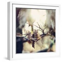 Autumn foliage in the sunlight in the Teutoburg Forest in Bielefeld.-Nadja Jacke-Framed Photographic Print