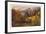 Autumn Foliage in the White Mountains (Mount Chocorua), 1862 (Oil on Board)-Jasper Francis Cropsey-Framed Giclee Print