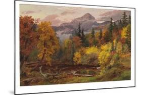 Autumn Foliage in the White Mountains (Mount Chocorua), 1862 (Oil on Board)-Jasper Francis Cropsey-Mounted Giclee Print