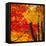 Autumn Foliage of Japanese Maple (Acer) Tree, England, Uk-Jon Arnold-Framed Stretched Canvas