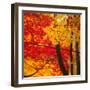 Autumn Foliage of Japanese Maple (Acer) Tree, England, Uk-Jon Arnold-Framed Premium Photographic Print