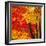 Autumn Foliage of Japanese Maple (Acer) Tree, England, Uk-Jon Arnold-Framed Premium Photographic Print