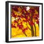 Autumn Foliage of Japanese Maple (Acer) Tree, England, Uk-Jon Arnold-Framed Premium Photographic Print