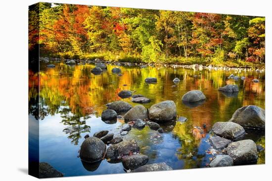 Autumn Foliage River Reflections-George Oze-Stretched Canvas