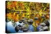 Autumn Foliage River Reflections-George Oze-Stretched Canvas