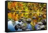 Autumn Foliage River Reflections-George Oze-Framed Stretched Canvas