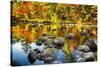 Autumn Foliage River Reflections-George Oze-Stretched Canvas